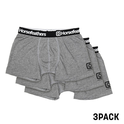 Dynasty 3Pack boxer briefs - heather gray size L